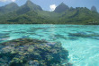 Polynésie - Croisière dans l'archipel de la Société - Moorea © TNG
