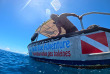 Polynésie - Huahine - Pacific Blue Adventure