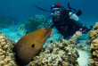Polynésie française - Plongée à Moorea © Moorea Fun Dive