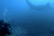 Polynésie - Tikehau - Raie Manta Diving Tikehau