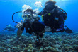 Polynésie - Tikehau - Raie Manta Diving Tikehau