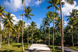 Polynésie française - Raiatea - Le Sunset Beach