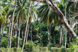 Polynésie française - Raiatea - Le Sunset Beach