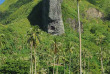 Polynésie - Raiatea - Opoa Beach Hotel - Excursions