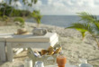 Polynésie française - Raiatea - Opoa Beach Hotel - Restaurant