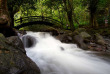 Polynésie française - Tahiti - Balade dans la Vallée de Vaipohe © Bruno Lupan