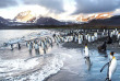 Croisières PONANT - Antarctique - Voyage en terres australes et péninsule Valdés © Studio Ponant, Morgane Monneret