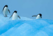 Croisières PONANT - Antarctique - Expédition sur les traces de Scott et Shackleton © Studio Ponant