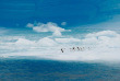 Croisières PONANT - Antarctique - Voyage en terres australes et péninsule Valdés © Studio Ponant, Nathalie Michel