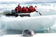 Croisières PONANT - Antarctique - Voyage en terres australes et péninsule Valdés © Studio Ponant