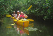 Samoa - Upolu - Randonnée et kayak dans les mangroves