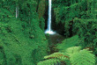 Samoa - Sopo'aga Falls © Samoa Tourism, David Kirkland