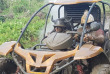 Vanuatu - Efate - Jungle Safari Tour en buggy