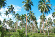 Vanuatu - Espiritu Santo, Cocoteraie © Photothèque Ultramarina, Gérard Carnot