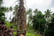 Vanuatu - Pentecost - Saut du Gaul © SPTO, David Kirkland