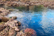 Vanuatu - Tanna - Rockwater Resort © Inpixio
