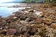Vanuatu - Tanna - Rockwater Resort © Inpixio