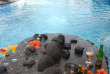 Vanuatu - Tanna - Rockwater Resort - Piscine © Inpixio