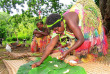 Vanuatu - Tanna - Village traditionnel © C. Chester