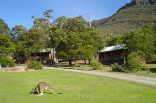 Australie _ Halls Gap _ D'Altons Studio _ Family Cottage