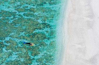 Australie - Queensland - Lady Elliot Island - © Ben
