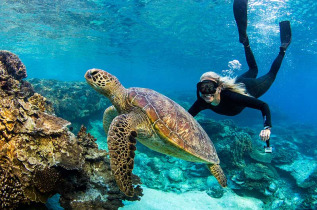 Australie - Queensland - Lady Elliot Island © Jeremy Somerville
