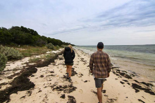 Australie - Naturaliste Tours - Excursion French Island