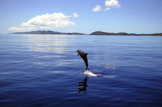 Fidji - Iles Yasawa - Mantaray Island Resort 