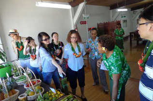 Fidji - Nadi - Cours de cuisine fidjienne