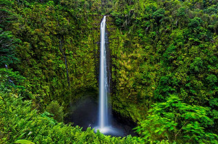 Hawaii - Hawai Big Island - Akaka Falls ©Shutterstock, Weicool