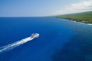 Hawaii - Big Island - Croisière snorkeling et dauphins