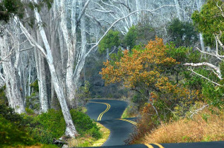 Hawaii - Hawai Big Island - Volcano National Park ©Shutterstock, R.Cheshier