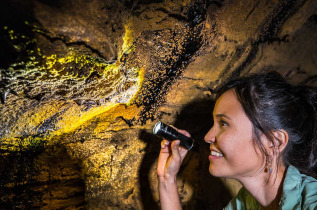 Hawaii - Big Island - Cratères et lava tubes