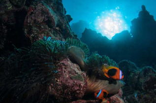 Nouvelle-Calédonie - Grande Terre - Bourail - Scub'addict © G Boussarie