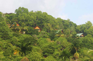 Palau - Aliibamou Resorts Carolines