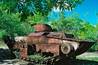 Palau - Excursion Island Cultural Tour