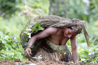 Papouasie-Nouvelle-Guinée - Région de Mount Hagen © Trans Niugini Tours, Chris Mc Lennan