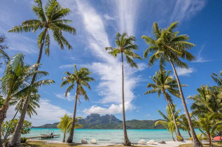 Polynésie française - Bora Bora - Pension Alice et Raphaël © M. Brightwell