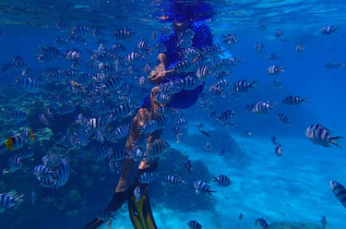 Polynésie française - Bora Bora - Authentique Safari Lagon et Motu