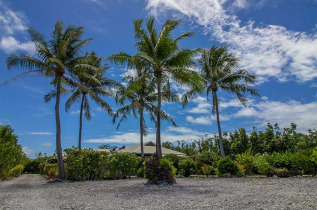 Polynésie française - Rangiroa - Pension Bounty