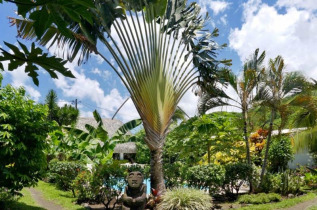 Polynésie française - Tahiti - Pension de la Plage