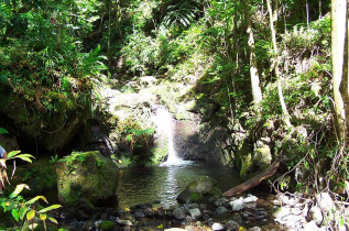 Polynésie française - Tahiti - Balade dans la Vallée de Vaipohe
