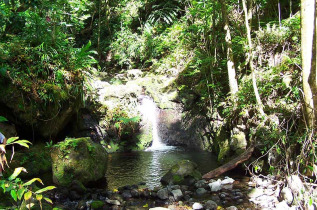 Polynésie française - Tahiti - Balade dans la Vallée de Vaipohe