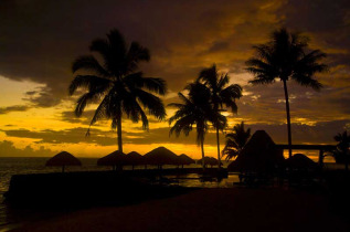 Samoa - Upolu - Coconut Beach Club Resort & Spa