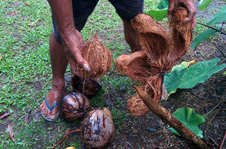 Samoa - Upolu - Culture et aventure à Samoa