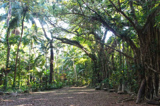 Vanuatu - Malekula - Découvrez l'île de Wala © Malampa Travel