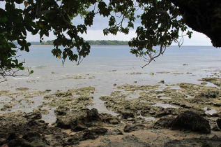 Vanuatu - Malekula - Ameltoro Bungalows