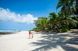 Vanuatu - Tanna - Le Grand Banian et pique-nique sur la plage © Vanuatu Tourism Office, David Kirkland