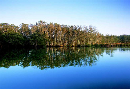 Australie - Jervis Bay - Paperbark Camp - Vue sur Currambene Creek © Mike Gebicki