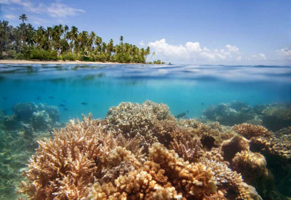 Fidji - Vanua Levu - Jean-Michel Cousteau Resort
